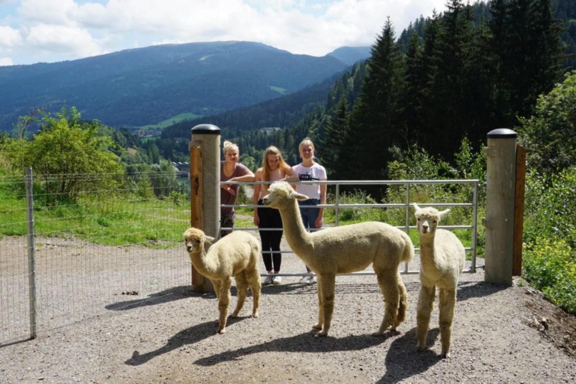 Vitalhof Am Kreischberg By Alps Resorts Bodendorf  Экстерьер фото